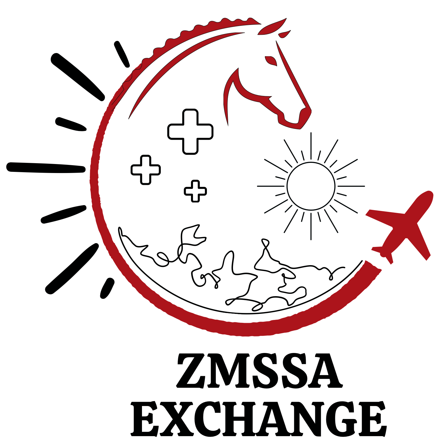 ZMSSA Logo